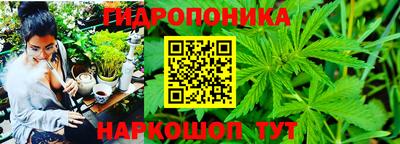гидропоника Вязьма
