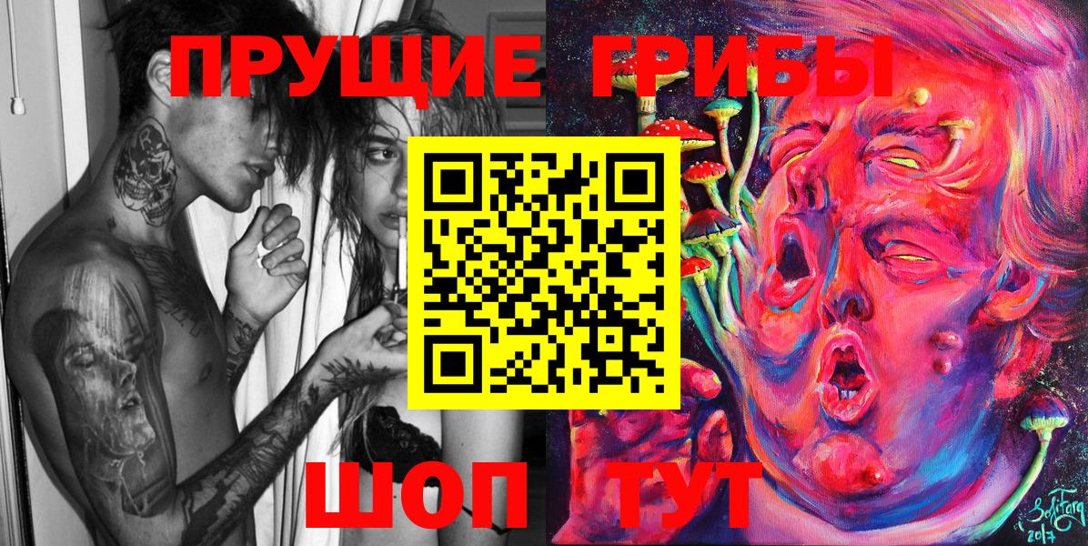 Галлюциногенные грибы Psilocybine cubensis  Вход с VPN  Ессентуки 